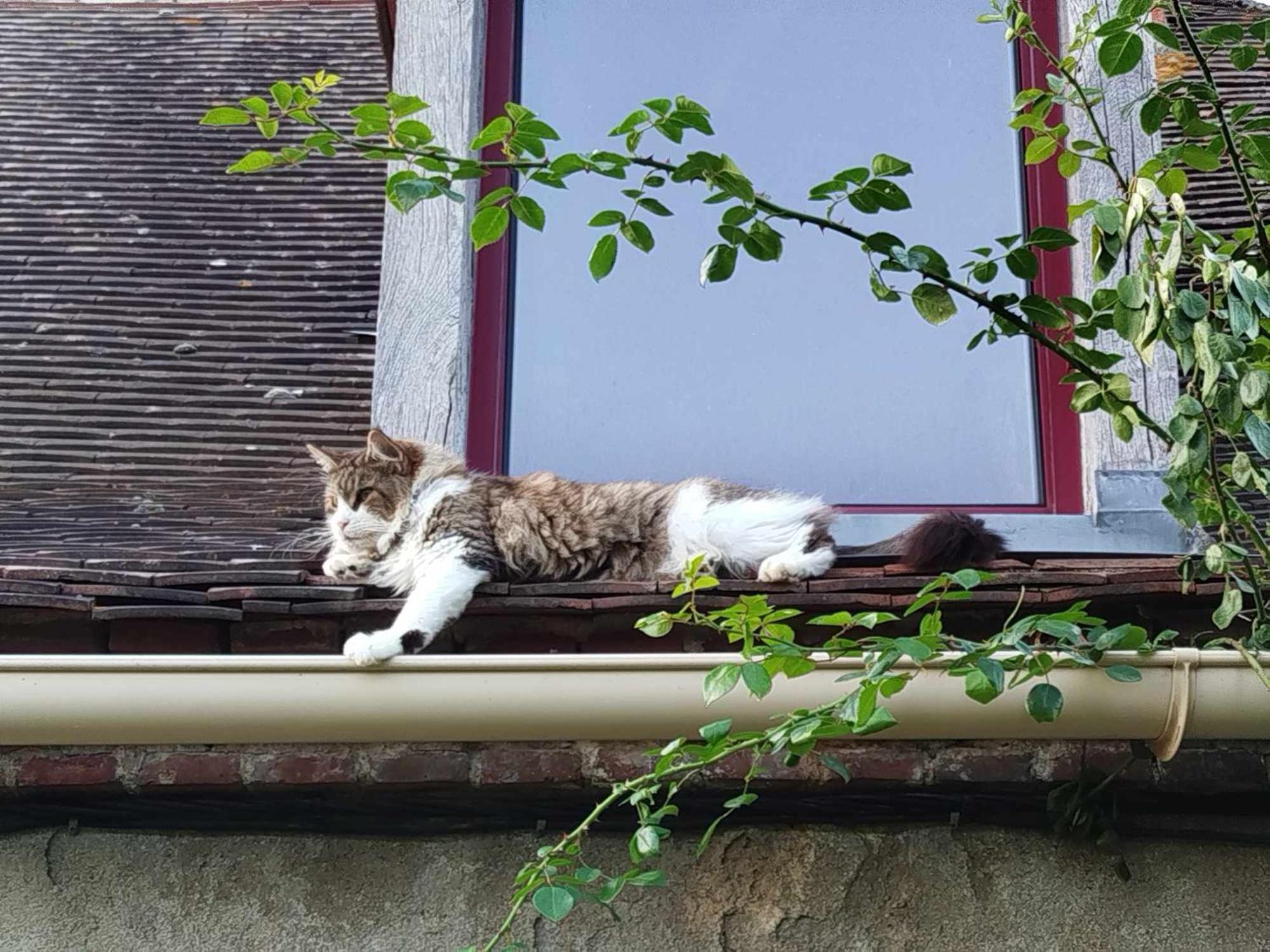 Gite Des Fours Agonges Kültér fotó